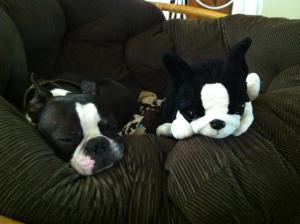 The real Harry is on the left.