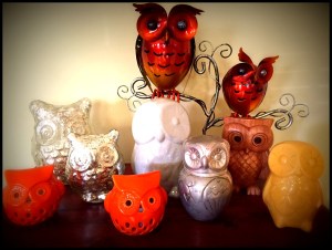 owlcollection